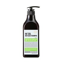 헤솔 오일리 스캘프 샴푸 500g 지성두피용 딥클렌징, 오일리스캘프샴푸500g