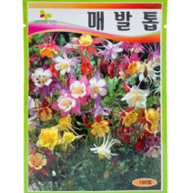 식물의집 매발톱 꽃씨앗 씨