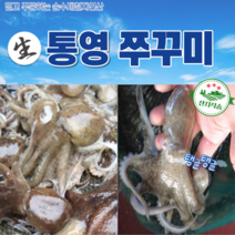 자연산 통영 제철 알통통 쭈꾸미 1kg 2kg 3kg 신선한 산지직송 당일조업 생물 활쭈꾸미, 통영활쭈꾸미 2kg