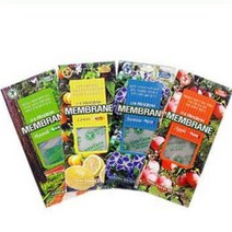 고급차량방향제 차량용 자동차 디퓨저 벤츠 BMW 아우디, 쟈스민