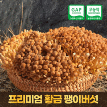 황금팽이버섯 황색 갈색 팽이버섯 국내산 무농약 GAP 1kg 2.5kg (택1) 산지직송, 250g x 4팩