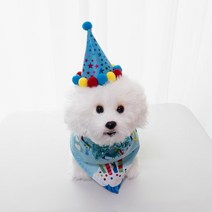 강아지 고양이 생일파티 용품 생일용품 3종세트 스카프 + 모자 + 보타이, 블루