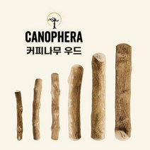 카노페헤라 강아지 커피 나무 츄 우드스틱 분리불안 이갈이 퍼피 소형견 대형견 천연 장난감 XXS XS S M L XL, XS
