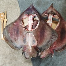 삼천포 용궁수산시장 반건조생선 모듬, 가오리 중 (약30cm 500g 내외) 1~2미