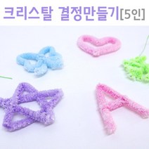 얼음 결정 만들기 5인 초등과학 방과후 창의 학습 돌봄 수업 교구 도구 준비물 실습 재료 원리