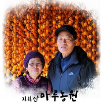[홈쇼핑방송]우포늪 단감마을 단감말랭이 11봉 세트(1봉당 100g), 단품
