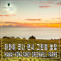 (커피생두) 259 하와이 코나 팬시 그린웰 농장 500g