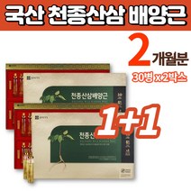 프리미엄 데일리 홍삼 산삼 배양근 한뿌리 생체 앰플 골드 산삼 액 액기스 농축액 복합 황금 추출물, 2박스