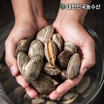 대한민국농수산 자연산 생물 왕 바지락1kg