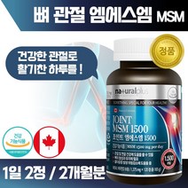 식약처 인증 캐나다 생산 직수입 엠에스엠 120정 약 2개월분 . MSM 관절 연골 뼈 건강 도움 골다공증 발생 위험 감소 건강 기능 식품 남성 여성 중년 노년 노인, 2통 240정 4개월분