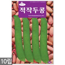 왜성적피 강낭콩 씨앗 30g - 콩씨 콩씨앗 씨 강낭콩씨 빨간강낭콩 붉은강낭콩씨앗 씨 강낭콩씨앗 주말농장 텃밭, 19_적작두콩(10립)
