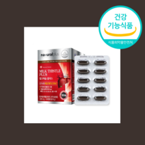 밀크 씨슬 시술 시스 추출물 간 건강 도움 SILYMARIN 선물 지인, 1000mgx180개