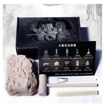 에프란드 암모나이트 돌 표본 과학 껍질 천연, A형화석10종+플라스틱보관함15개발굴