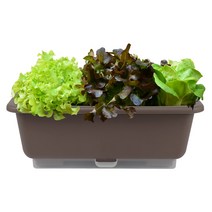화분월드 베이직 대형 자동급수 텃밭상자 화분 + 받침 분갈이 흙 세트, 모카브라운