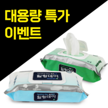 [묶음상품 특가이벤트] 대형큰물티슈 힐링데이물티슈 15팩 (60매입/팩) 20팩 (60매입/팩) 요양병원 성인용 엠보싱원단, 프리미엄엠보싱_15팩 (60매/팩)