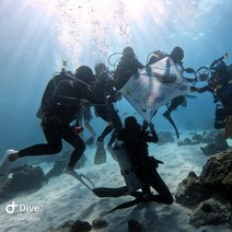 psai cmas 스킨스쿠버자격증