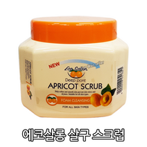 네슈라 데이브살구 스크럽폼 에코살롱 살구 스크럽 폼 클렌징 페이스, 230g, 1개