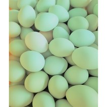 무항생제 달걀 청계 청란, 40구