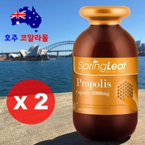 호주직구 프로폴리스 2000mg 365캡슐 2개 스프링리프 호주코알라몰, 2병