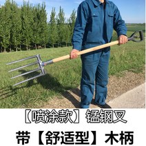 원예 농사 축사 괭이 포크삽 도라지창 로타리삽, 옵션6 (세모손잡이)