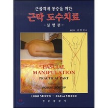 근막 도수치료 : 실행편, 영문출판사, Robert Schleip 저