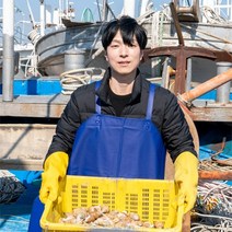 [기봉농수산] 자연산 동해바다 생물 백골뱅이 500g 1kg, 1kg 소 (45미 내외)