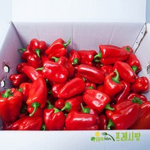 [프레시팜] 국내산 청피망 홍피망 10kg 내외, 못난이
