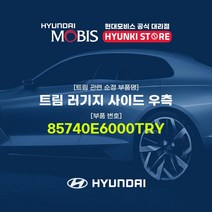 현대모비스 트림 러기지 사이드 우측 (85740E6000TRY)