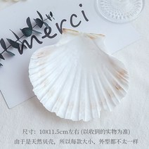 빈티지소품 원룸꾸미기 빈티지인테리어소품 쉘 장식 사진 액세서리 사진 복고풍 생일 파티 장식, ac313