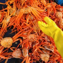 국산 독도 홍게 붉은 대게 자숙 3kg 8-11미 [일반형/프리미엄/선물용], (자숙) 국산 독도홍게 선물용 4kg, 1팩, 4kg(8-10미)