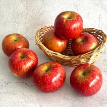 경북 부사 사과 가정용 10kg 44-47과, 단품