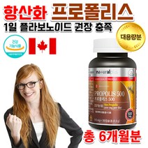지칠때 피곤할때 입안헐었을때 항산화 면역 캐나다 약국 벌꿀 고함량 프로폴리스 알약 영양제 캡슐 약 6개월분, 상세페이지 참조, 상세페이지 참조, 상세페이지 참조, 상세페이지 참조, 상세페이지 참조