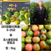 대저농협 새콤달콤 짭짤한 토마토 당일수확 농장직영, 짭짤한 토마토 2s(로얄), 1박스