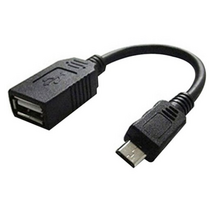 대원티엠티 OTG 케이블 DW-OTG-01M, 블랙, 1개