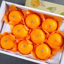 프리미엄 고당도 천혜향 3kg 특품 당도선별 농장직송, 선물용 천혜향 3kg(대과)