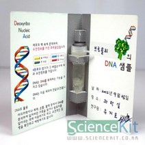 단체 교재 키트 조별 실험 과학 DNA 추출1 식물 세포(4 인용)