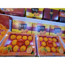 제주도 황금향 3kg(10-13과) 선물용 제주도 제주 황금향 감귤 택배 명절 선물 세트