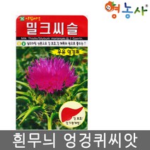 밀크씨슬씨앗 100립 흰무늬엉겅퀴 우유엉겅퀴, 밀크씨슬