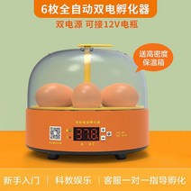 부화기 입문용 2021년 신상품 조류 자동 부화 병아리 계란부화기 36란 실험, 3. 계란부화기 6란