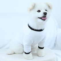 럭키페터 링거 강아지 옷 소형견 대형견 티셔츠 화이트 시리즈, 화이트/블랙