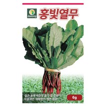 두메 부추 100립 부추씨앗 부추씨 야채씨 야채씨앗 채소씨 채소씨앗, 24_다농_홍빛 열무(6g)