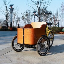 세발 전기자전거 미국 시장 3 휠 전기화물 자전거 가족 쇼핑 전기 삼륜 카고 세발자전거, 01 Pedal FOB, 한개옵션1