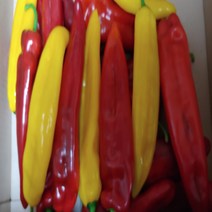 바나나파프리카 신선농장 롱스위트, 2kg