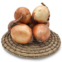 거금도 햇 양파 3kg 5kg 경남고흥 국산 100% 산지직송