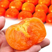 [청년농부] 대봉감 홍시 프리미엄 고당도 선물용 가정용 효도선물, 대봉감 (소과) 10kg 41-45과