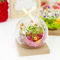 1인세트 테라리움 활동 미술 재료 키트 수업 모스 봄