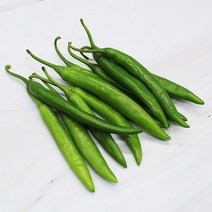 올데이팜 가락시장 풋고추 500g (국내산), 단품없음