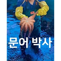 [문어박사] 통영 자연산 돌문어 1kg 2kg, 돌문어 1kg(사이즈랜덤)