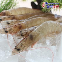 동부수산 2kg 흰다리새우 새우장용 에콰도르산, 1개, 2.흰다리새우 92~100마리 2kg