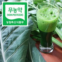 직거래농민장터 무농약 케일 신선초 친환경 녹즙용, 1box, 무농약 신선초 4봉지(총2.2kg)